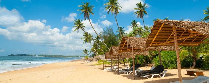 Blu Marine Nilaveli Hotel Trincomalee Kültér fotó