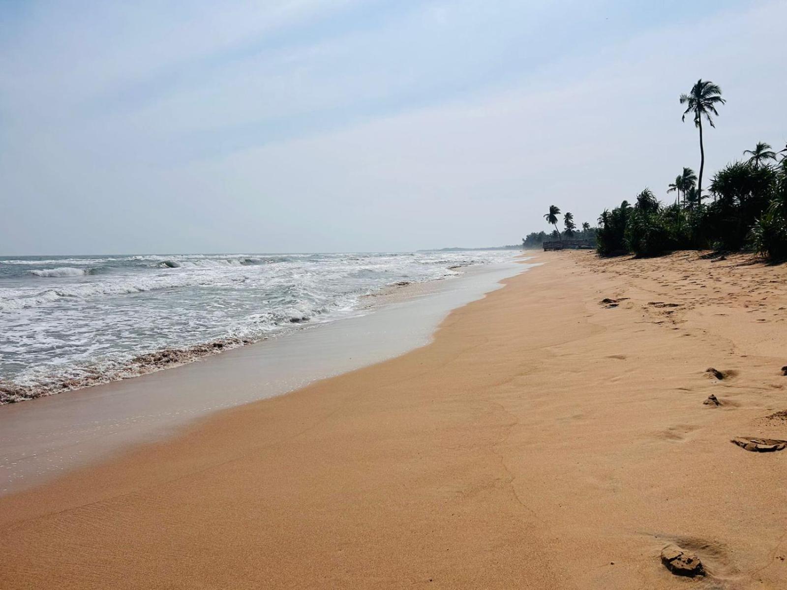 Blu Marine Nilaveli Hotel Trincomalee Kültér fotó